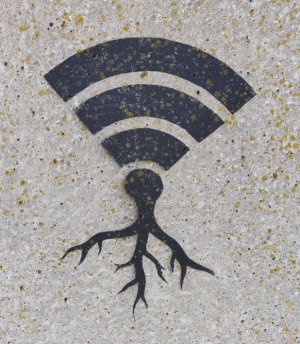 The Future of Wi-Fi Products: IDC Predicts Surge in Demand by 2024
